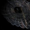 暗流涌动|黑客渗透资源hub Telegram 频道头像