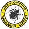 Дезинфекция Dizinfeksiya Dezenfeksiya