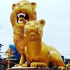 西港金边华人社区 Telegram 群组头像