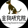 金狗研究院-金狗发布 Telegram 频道头像