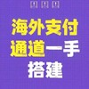 海外通道🌏盘口搭建-已上押 Telegram 频道头像