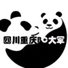柬埔寨菲律宾bc回国自首！ Telegram 群组头像