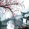 文案馆头像素材🇨🇳