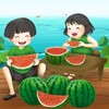 动态住宅IP