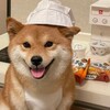 神也是人
