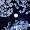 文案馆『 忘忧故事铺 』 Telegram 频道头像