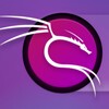 hacker attack Cracking data침투 데이터 红队