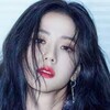 小白科学上网|VPN|加速器 Telegram 群组头像