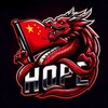 HOPE BYPASS🇨🇳中国希望官方频道 Telegram 频道头像