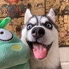 搞笑吃瓜🐶内涵段子/奇趣百科 Telegram 频道头像