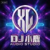 🎧 DJ小鹿 · 私人订制串烧频道 | 你的专属音乐世界 🎧 Telegram 频道头像