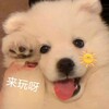 大明线下交流（外群）