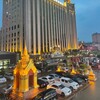 东南亚猪仔视频 讨论群 Telegram 群组头像
