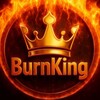 BurnKing Telegram 群组头像