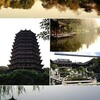 杭州 (Hangzhou) 聊天 / 约会 / 商务 Telegram 群组头像