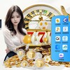 腾龙app|华纳app|百胜app|盛世app|环球app Telegram 频道头像