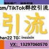 欧美币圈引流/马来西亚引流/韩国引流 Telegram 频道头像