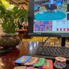 金边娱乐场所【网投总部】 Telegram 频道头像