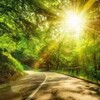 旅游 风景 打卡 大自然 Telegram 频道头像