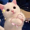 乔碗绘画画画素描彩绘水画 Telegram 频道头像