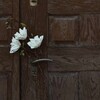 напоминание Telegram 频道头像