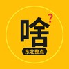 东北整点啥