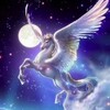 神总的日常朋友圈🐴 Telegram 频道头像