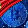 百度百科、AI 换脸、老外 CEO 视频、项目宣传片制作 Telegram 频道头像