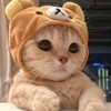 BY公益内核通知频道 Telegram 频道头像
