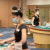 天子顺德客服|天子顺德平台|天子顺德公司|天子顺德国际 Telegram 频道头像