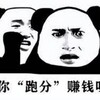 纯料跑分 收付一体 Telegram 频道头像