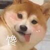 电影|网剧|小鱼儿部落 Telegram 频道头像