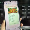 ws群发/ws蓝标号/whatsapp蓝标号/whatsapp龙虾号/ws龙虾号🔰