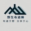 野生布道师