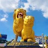 柬埔寨-西港华人俱乐部 Telegram 群组头像