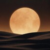 大月亮🌙美国夜班精英主导资源交流群 Telegram 群组头像