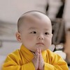 凌天阁 Telegram 群组头像